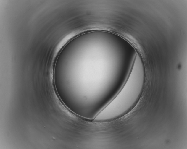 X0000091061188200708060953