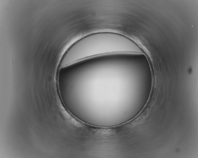 X0000091061189200708060953
