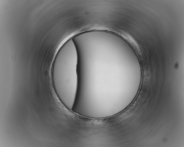 X0000091061190200708060953