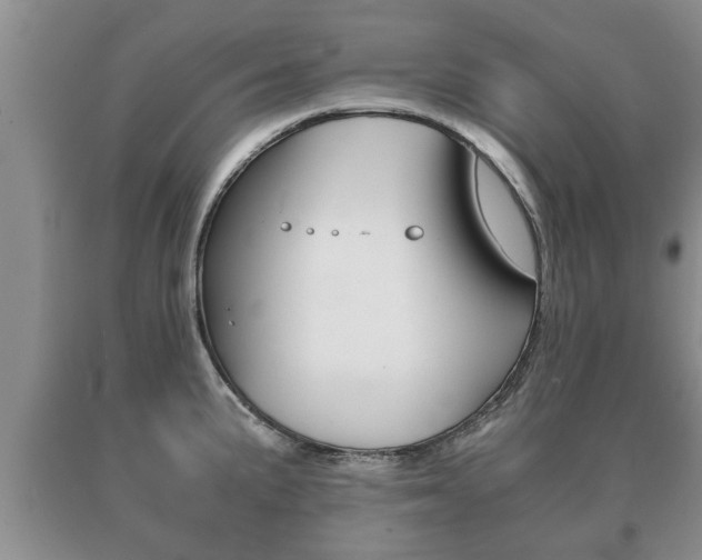 X0000091061191200708060953