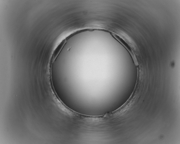 X0000091061192200708060953