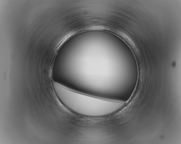 X0000091061193200708060953