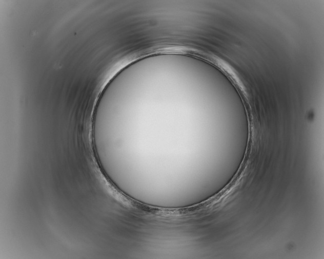 X0000091061194200708060953