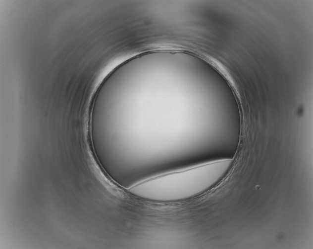X0000091061195200708060953