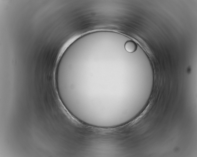 X0000091061196200708060953