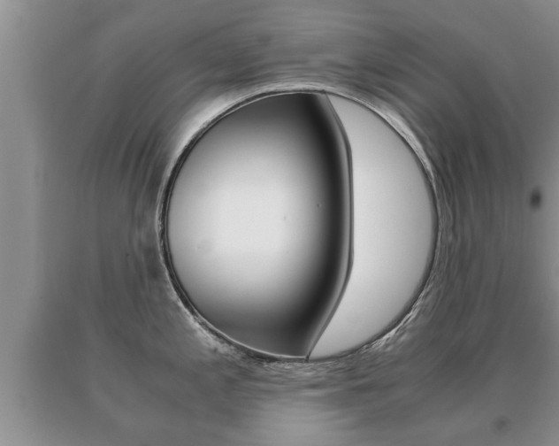 X0000091061197200708060953