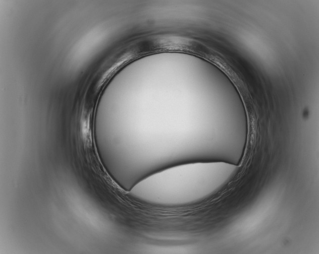 X0000091061198200708060953