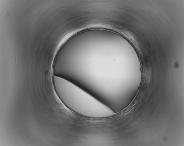 X0000091061199200708060953