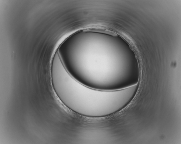 X0000091061200200708060953