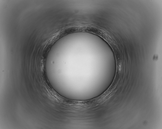 X0000091061204200708060952