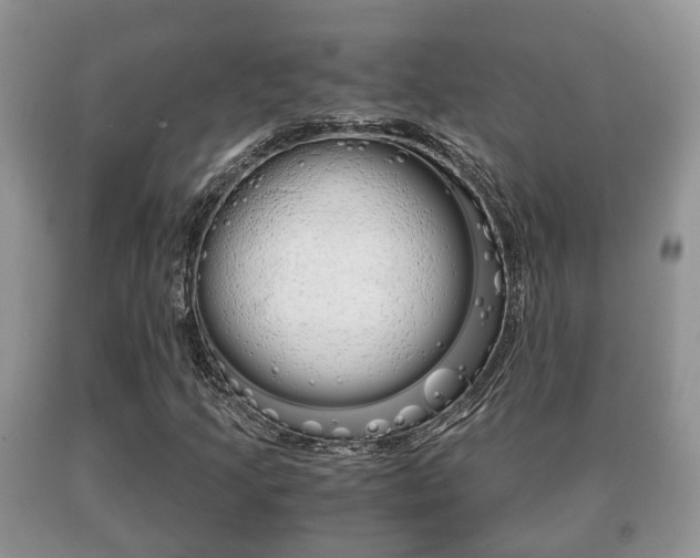 X0000091061205200708060952