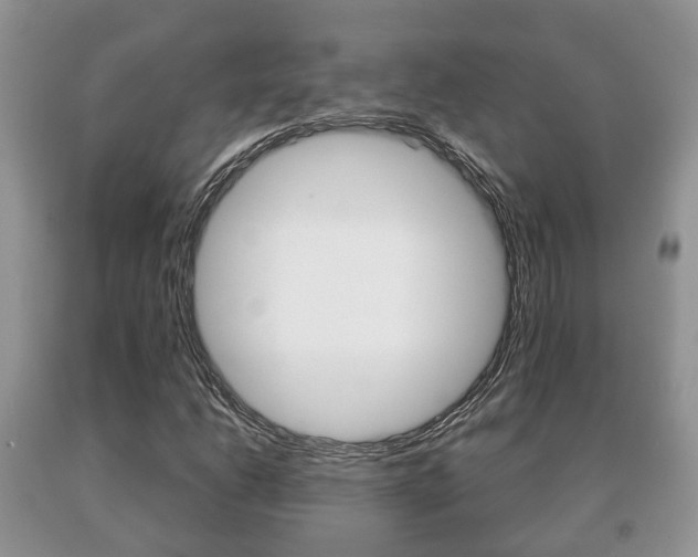 X0000091061206200708060952