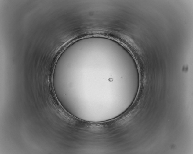 X0000091061209200708060952
