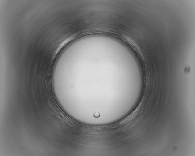 X0000091061210200708060952