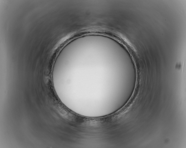 X0000091061213200708060952