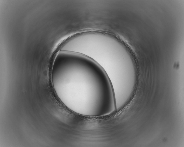 X0000091061214200708060952