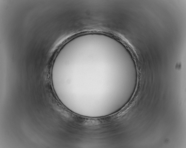 X0000091061215200708060952
