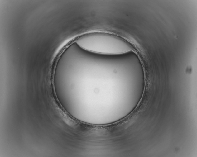 X0000091061216200708060952