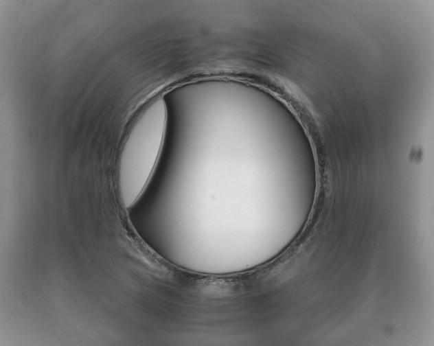 X0000091061217200708060952