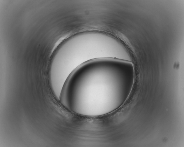 X0000091061218200708060952