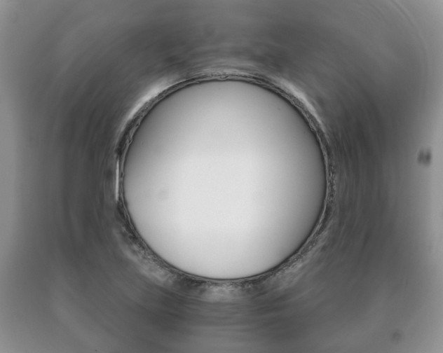 X0000091061219200708060952