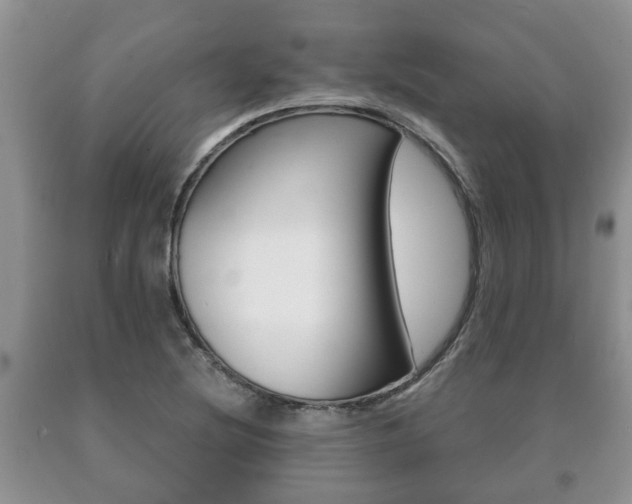 X0000091061220200708060952