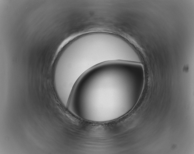X0000091061222200708060952