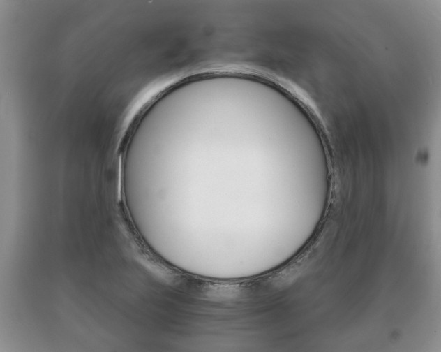X0000091061223200708060952