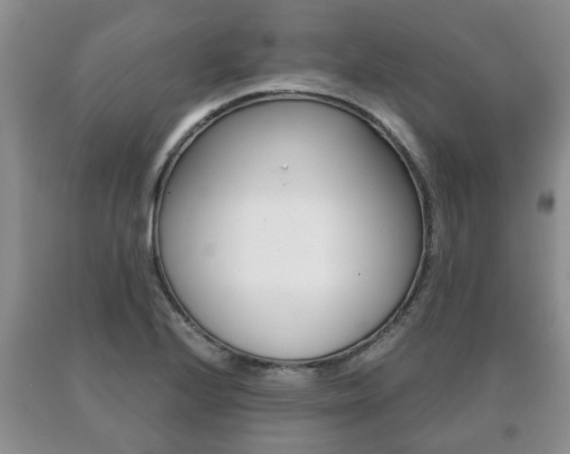 X0000091061224200708060952