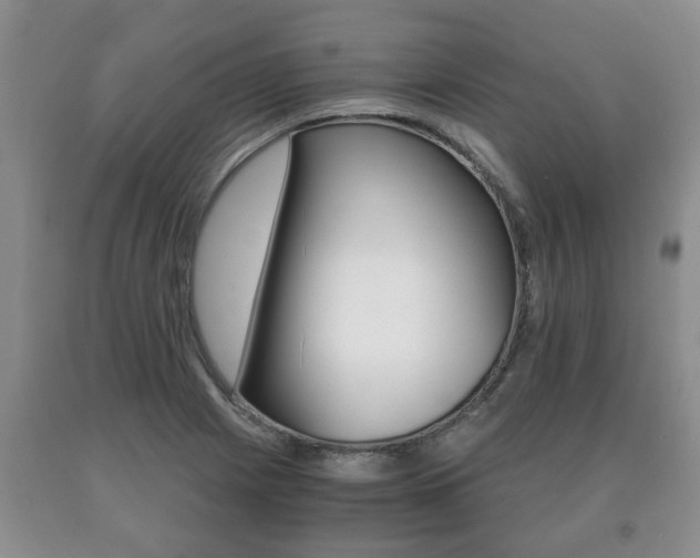 X0000091061225200708060952