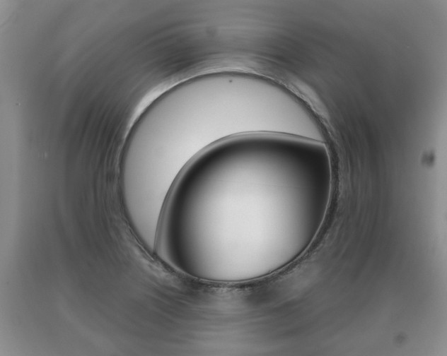 X0000091061226200708060952