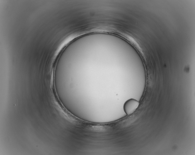X0000091061227200708060952