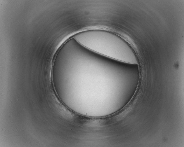 X0000091061228200708060952