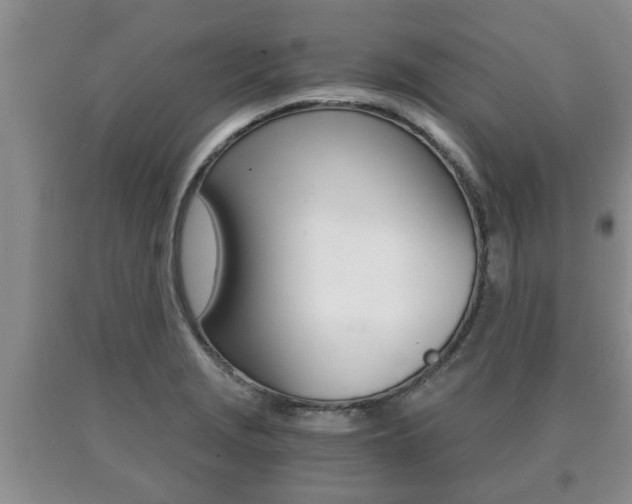 X0000091061229200708060952