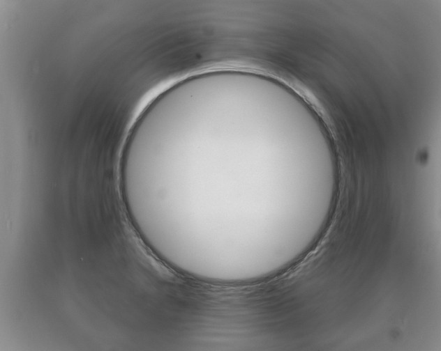 X0000091061230200708060952