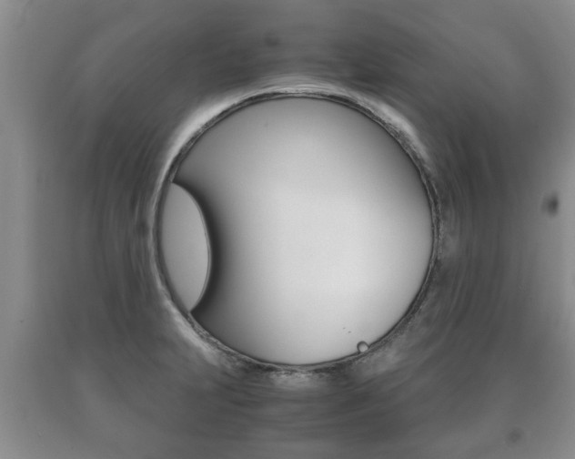 X0000091061231200708060952