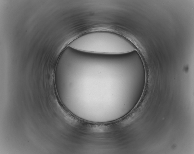 X0000091061233200708060952