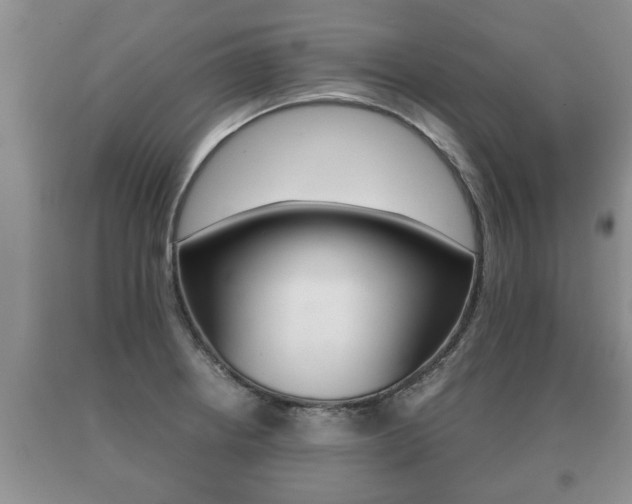 X0000091061234200708060952