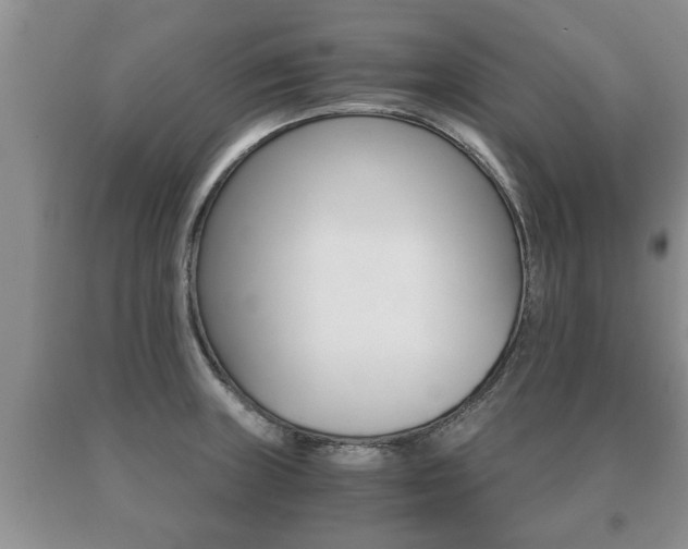 X0000091061235200708060952