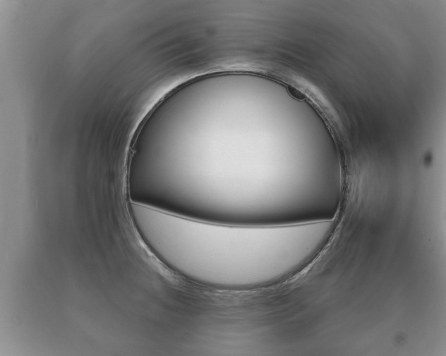 X0000091061236200708060952