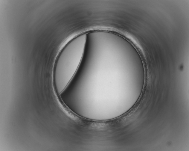X0000091061237200708060953