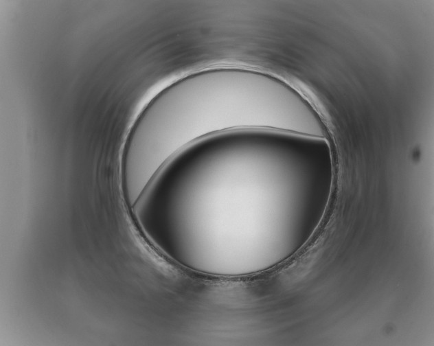 X0000091061238200708060953