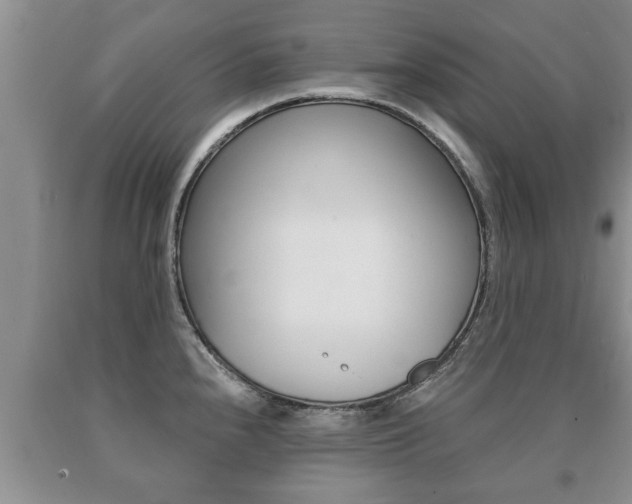 X0000091061240200708060953