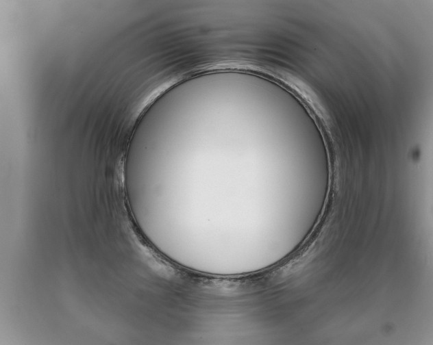 X0000091061241200708060953