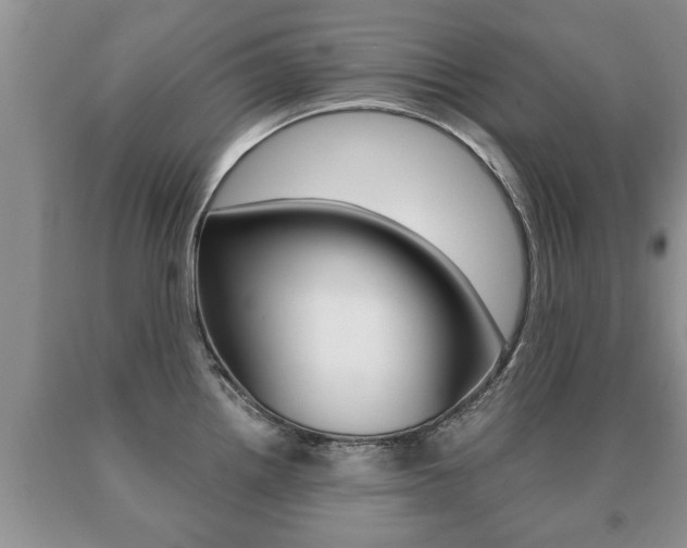 X0000091061242200708060953