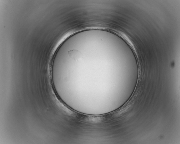 X0000091061243200708060953