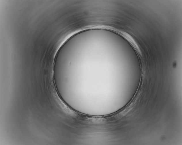 X0000091061244200708060953
