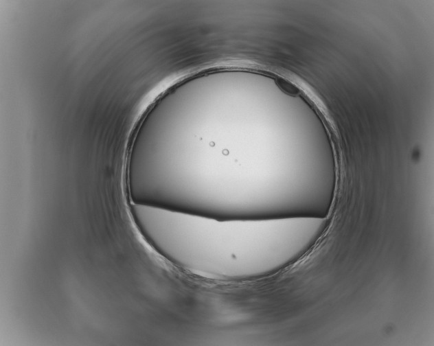 X0000091061245200708060953