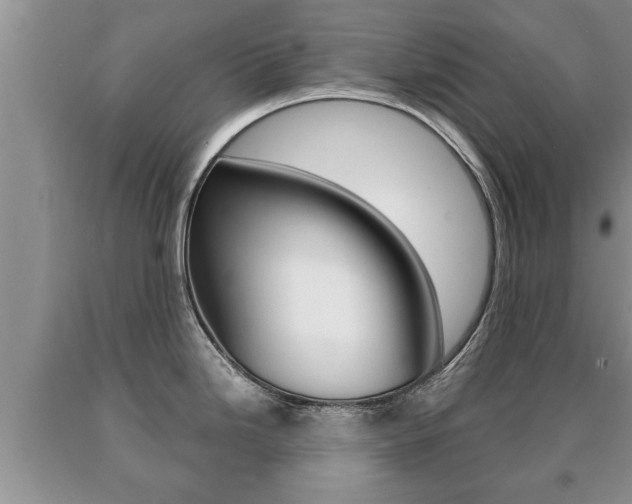 X0000091061246200708060953