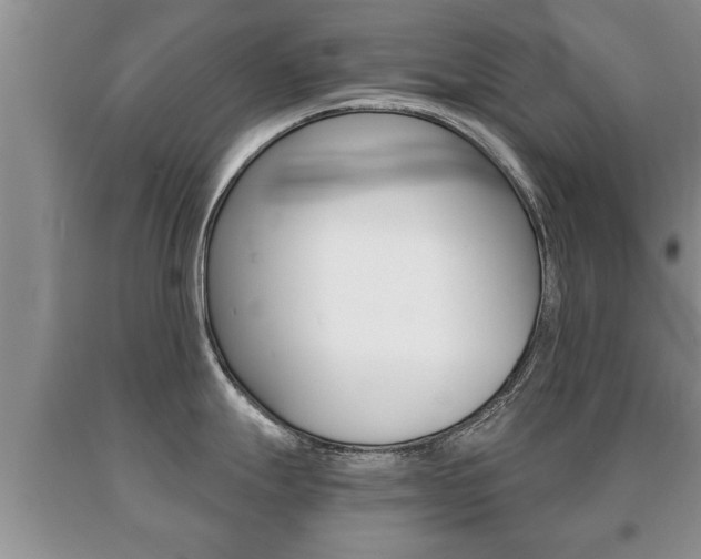 X0000091061247200708060953